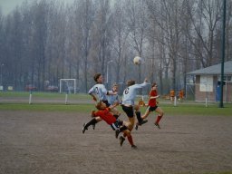 0DIA 1984 RAVA B1